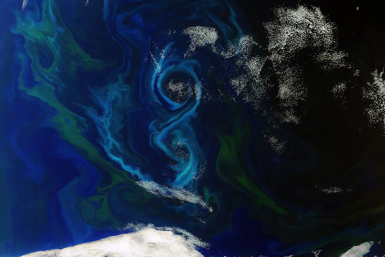 Des tourbillons de phytoplancton vus de l'espace.