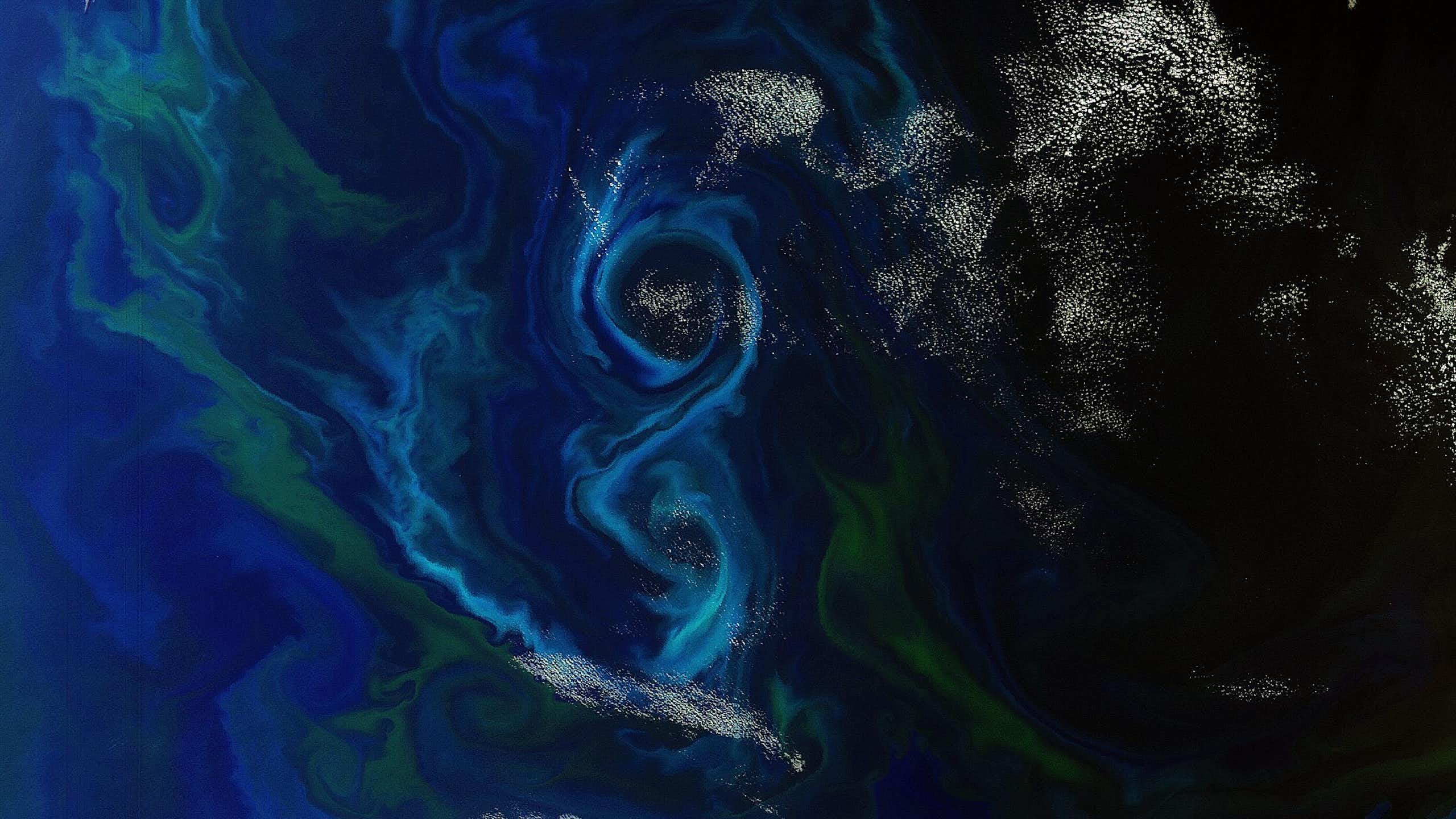 Des tourbillons de phytoplancton vus de l'espace.