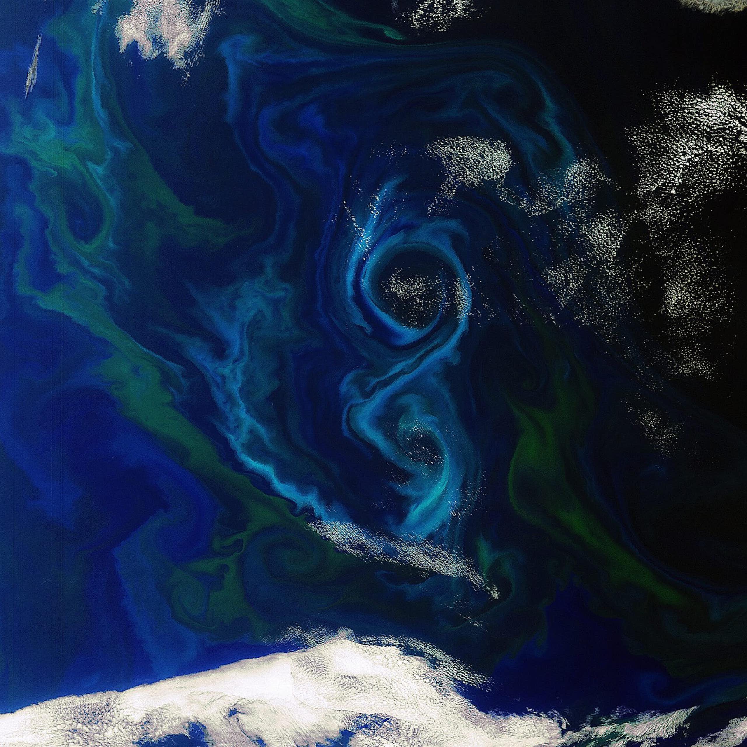 Des tourbillons de phytoplancton vus de l'espace.