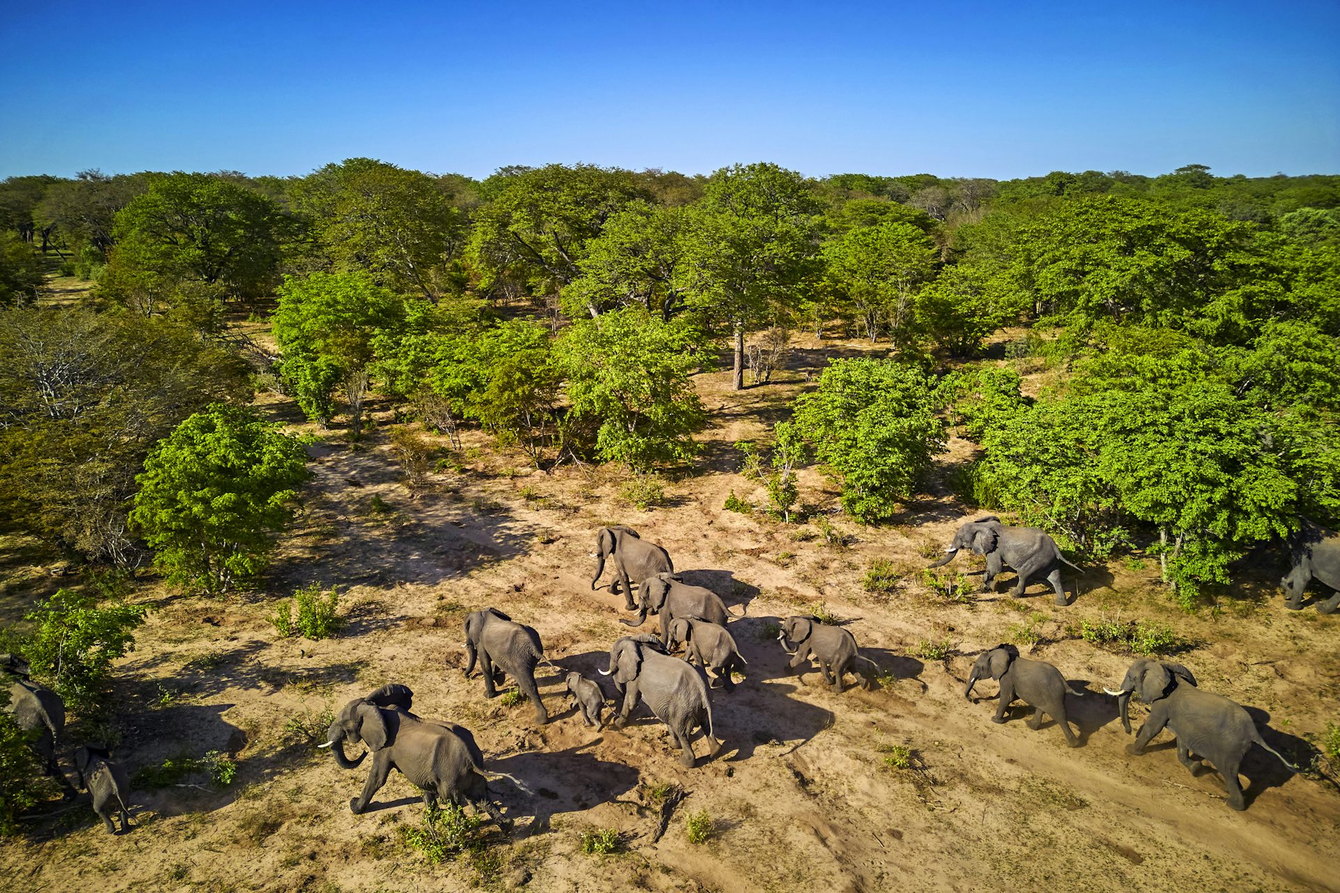 Human-wildlife conflict in Zimbabwe is a crisis: who is in danger, where and why?