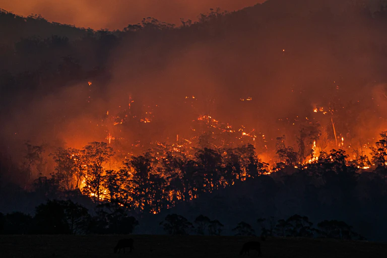 A line of fire on a dark landscape.