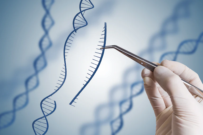 Concept d'ingénierie génétique, d'OGM et de manipulation génétique. La main insère une séquence d'ADN.