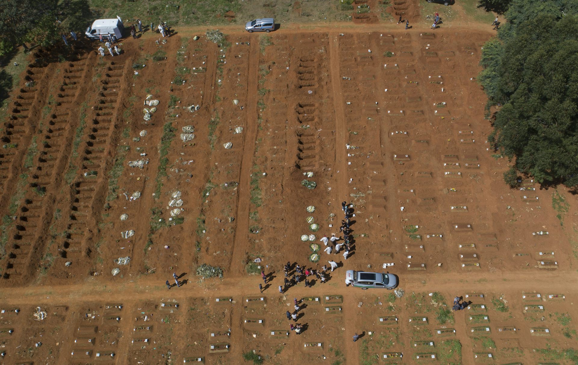 Estudo mostra que estados que sofreram mais com a dengue ouviram melhor os cientistas sobre a COVID-19