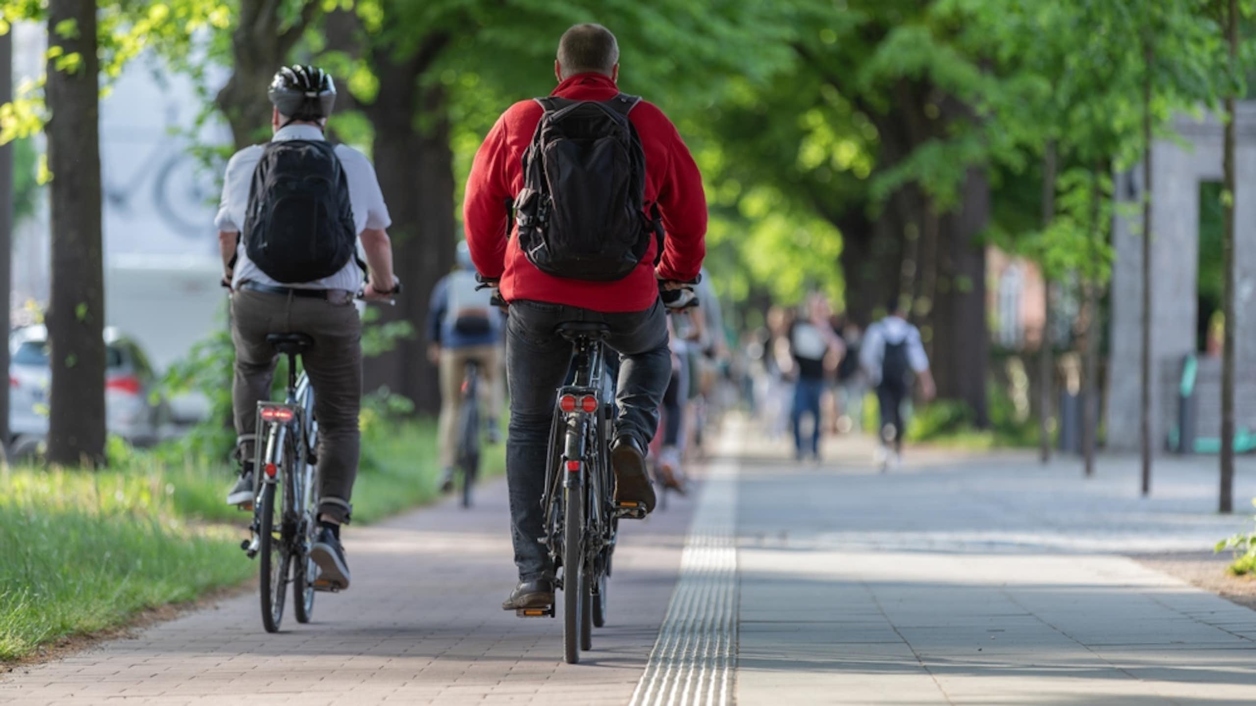 Two cyclists in a city cycle lane.
