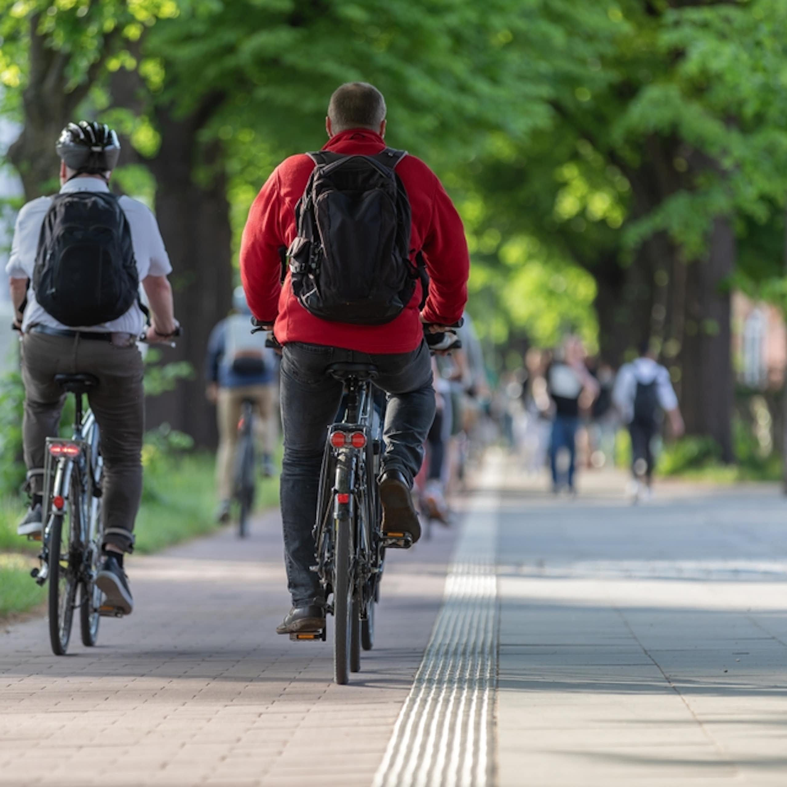 Two cyclists in a city cycle lane.