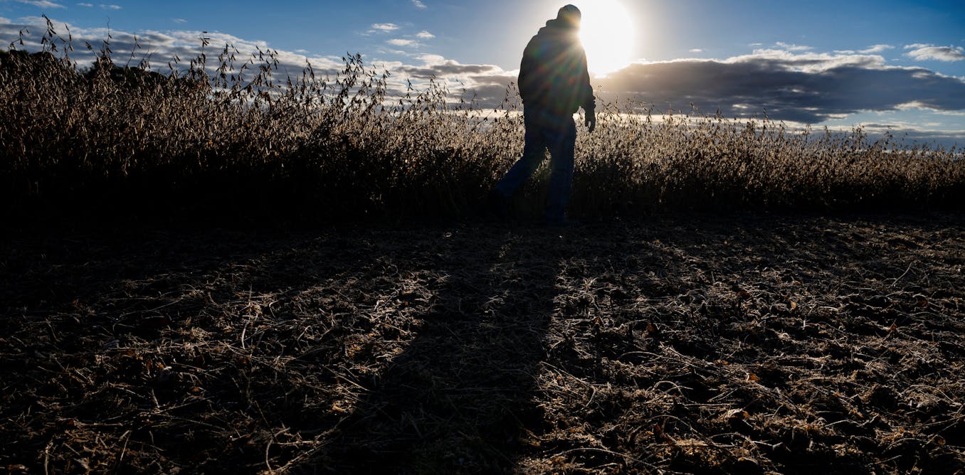 American farmers, who once fed the world, face a volatile global market with diminishing federal backing American farmers, who once fed the world, face a volatile global market with diminishing federal backing