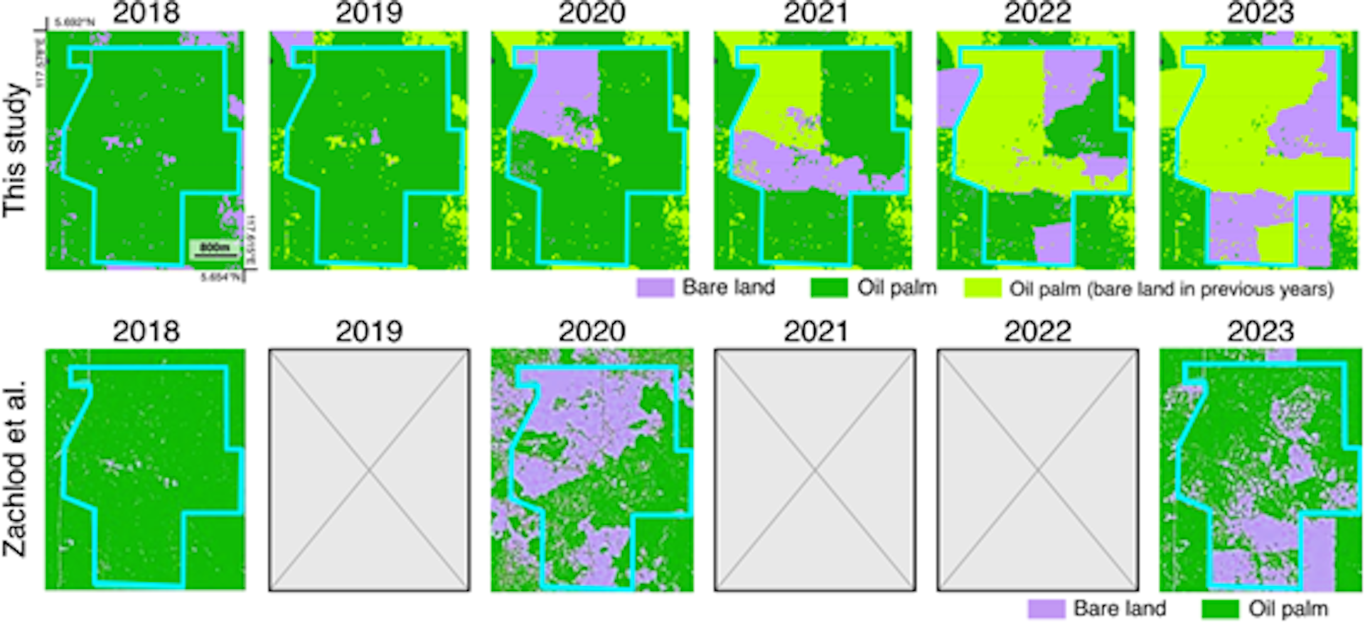 Saat kesalahan karya ilmiah dibiarkan: Penerbit tetap untung, publik yang rugi
