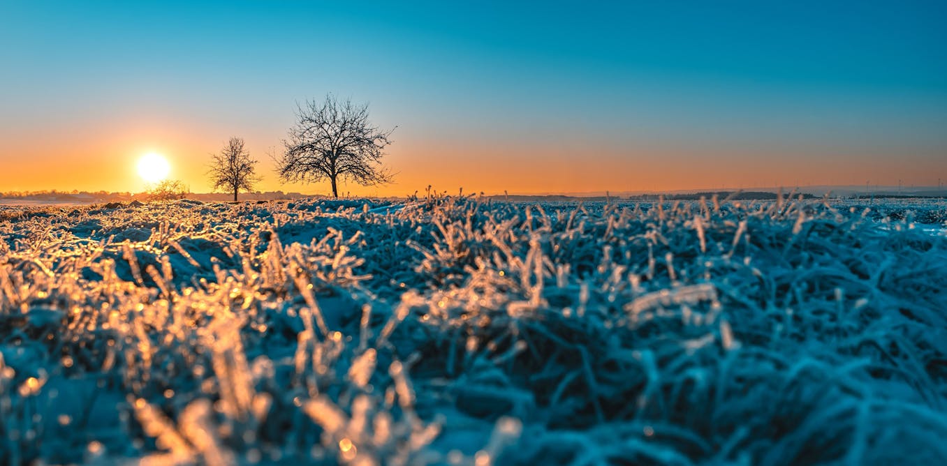 seven tips to entice you outside and dose yourself up with joy seven tips to entice you outside and dose yourself up with joy