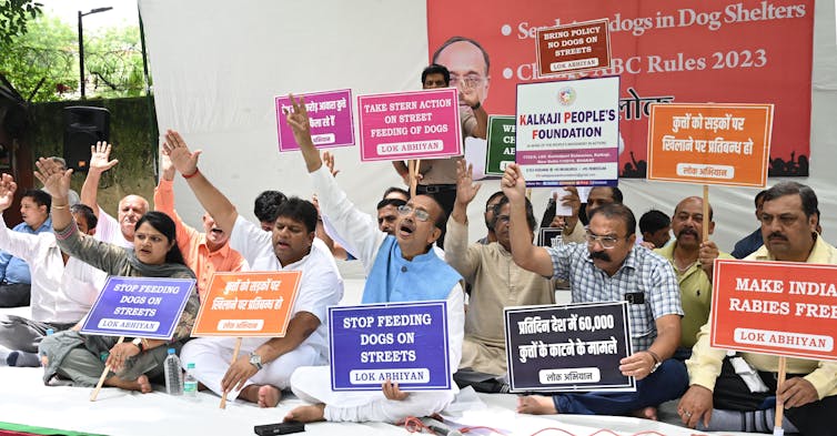 India’s 60 million road canines are turning from village scavengers to town territory defenders 3 file 20260108 56 ex07ts.jpg?ixlib=rb 4.1