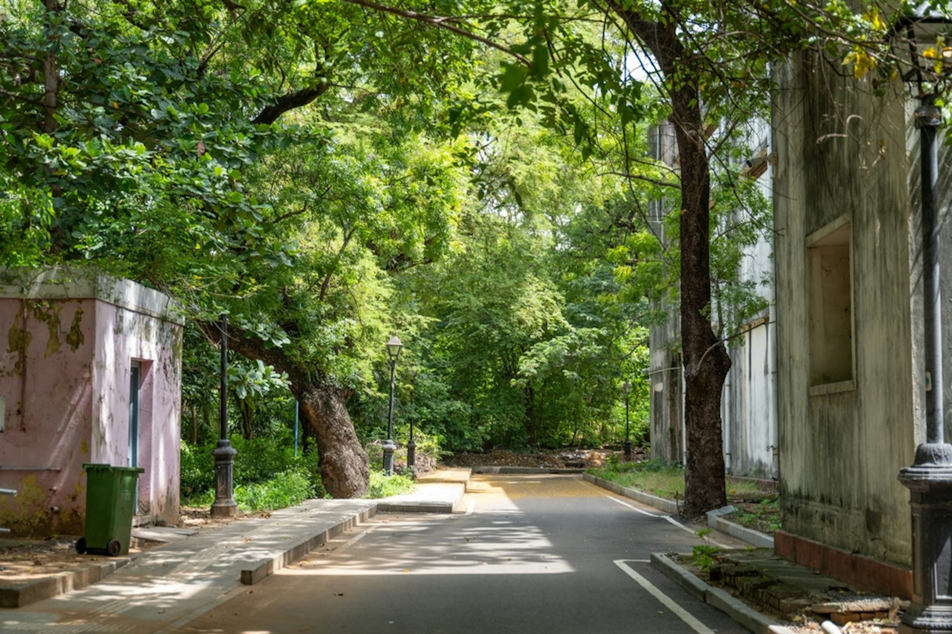 India shows how urban forests can help cool cities – as long as planners understand what nature and people need