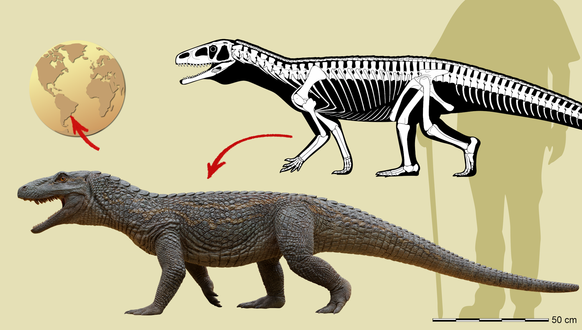 Ilustração mostra o réptil e sua ossada, sua localização no Brasil e a comparação do seu tamanho com o de um humano