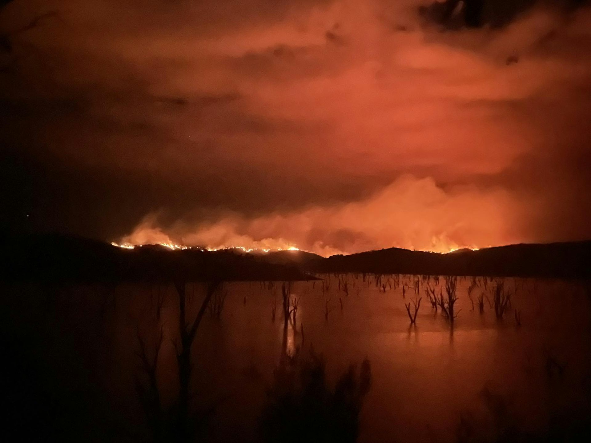 Rain one minute, heatwave the next. How climate ‘whiplash’ drives unpredictable fire weather