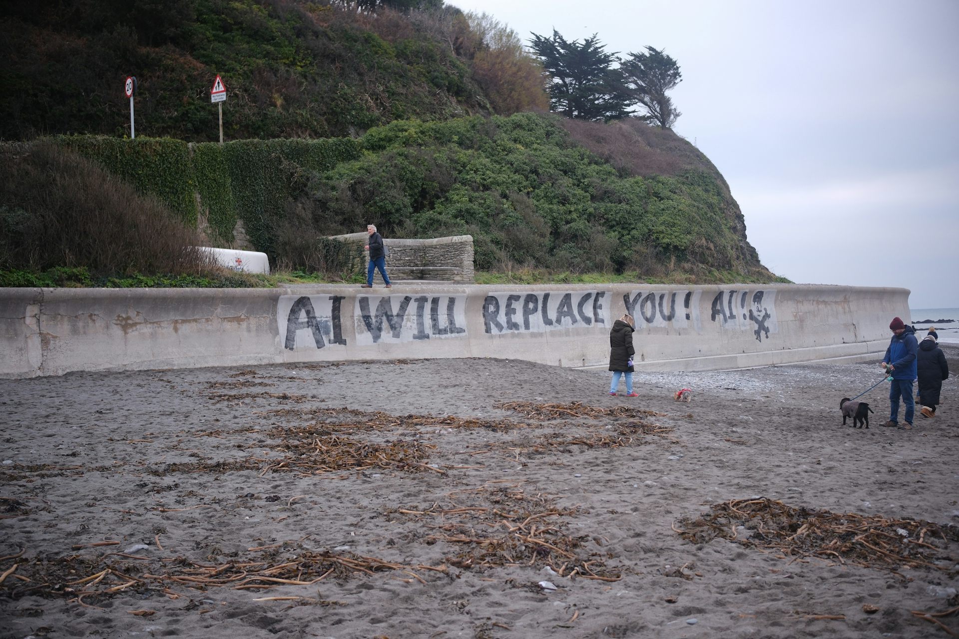 Graffiti on wall, which reads: 'AI will replace you.'