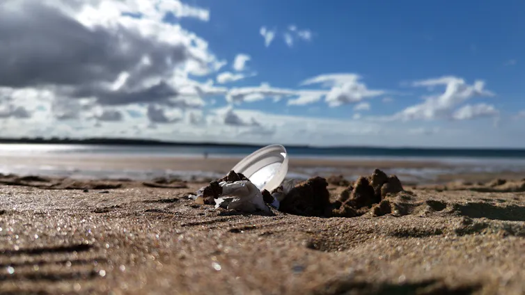 A piece of plastic litter on a beach.