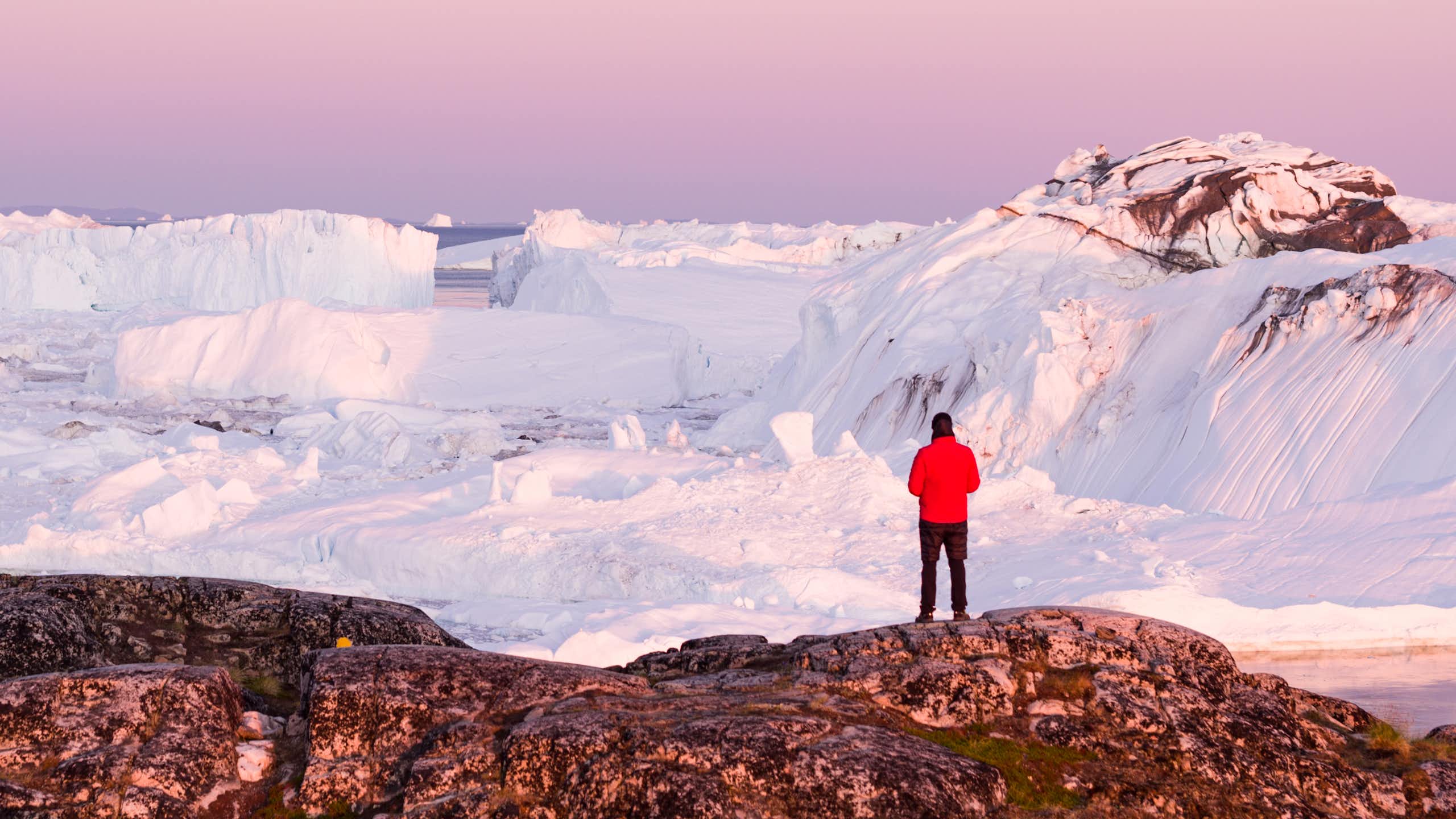 Man stands and looks at ice in Greenland
