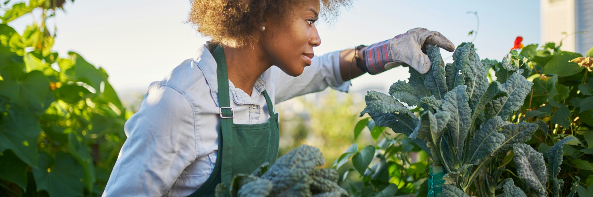 Why we need to talk about the root causes of food insecurity Why we need to talk about the root causes of food insecurity