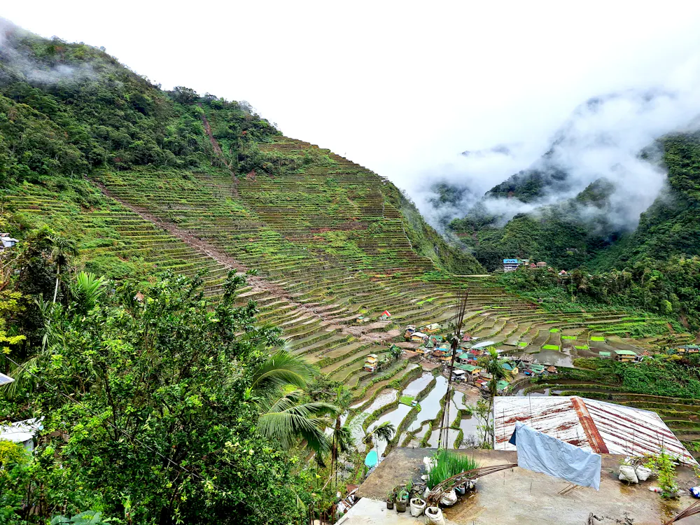 Indigenous Background Rice Terraces How mountain terraces have helped Indigenous peoples live with climate ...