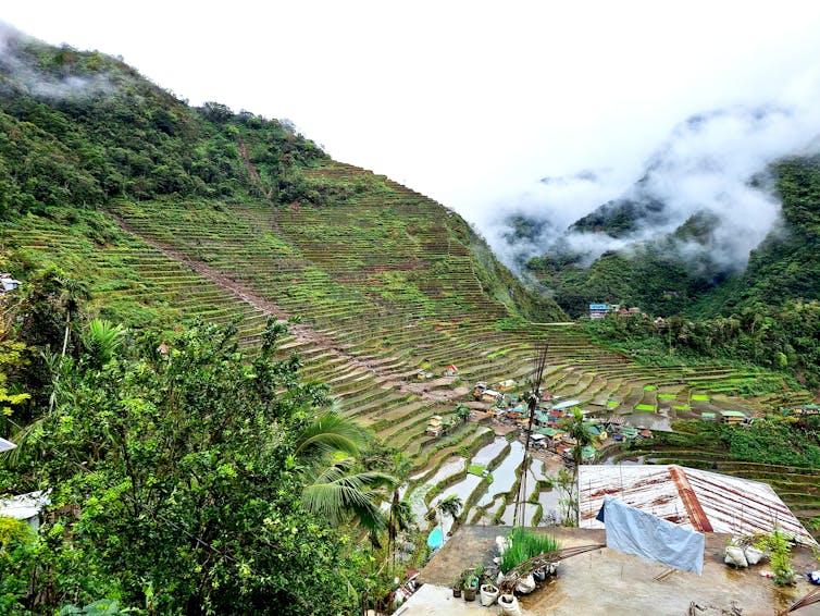 A muddy swath down the hillside shows where terrace walls were damaged.
