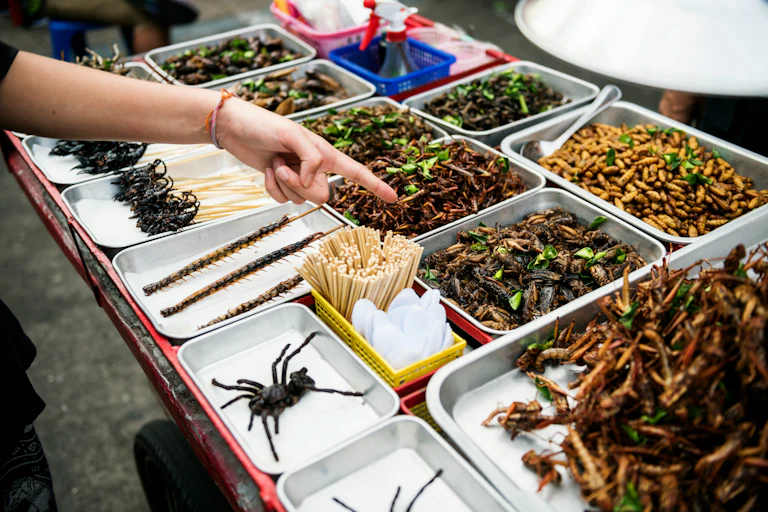 A person points at dead insects.