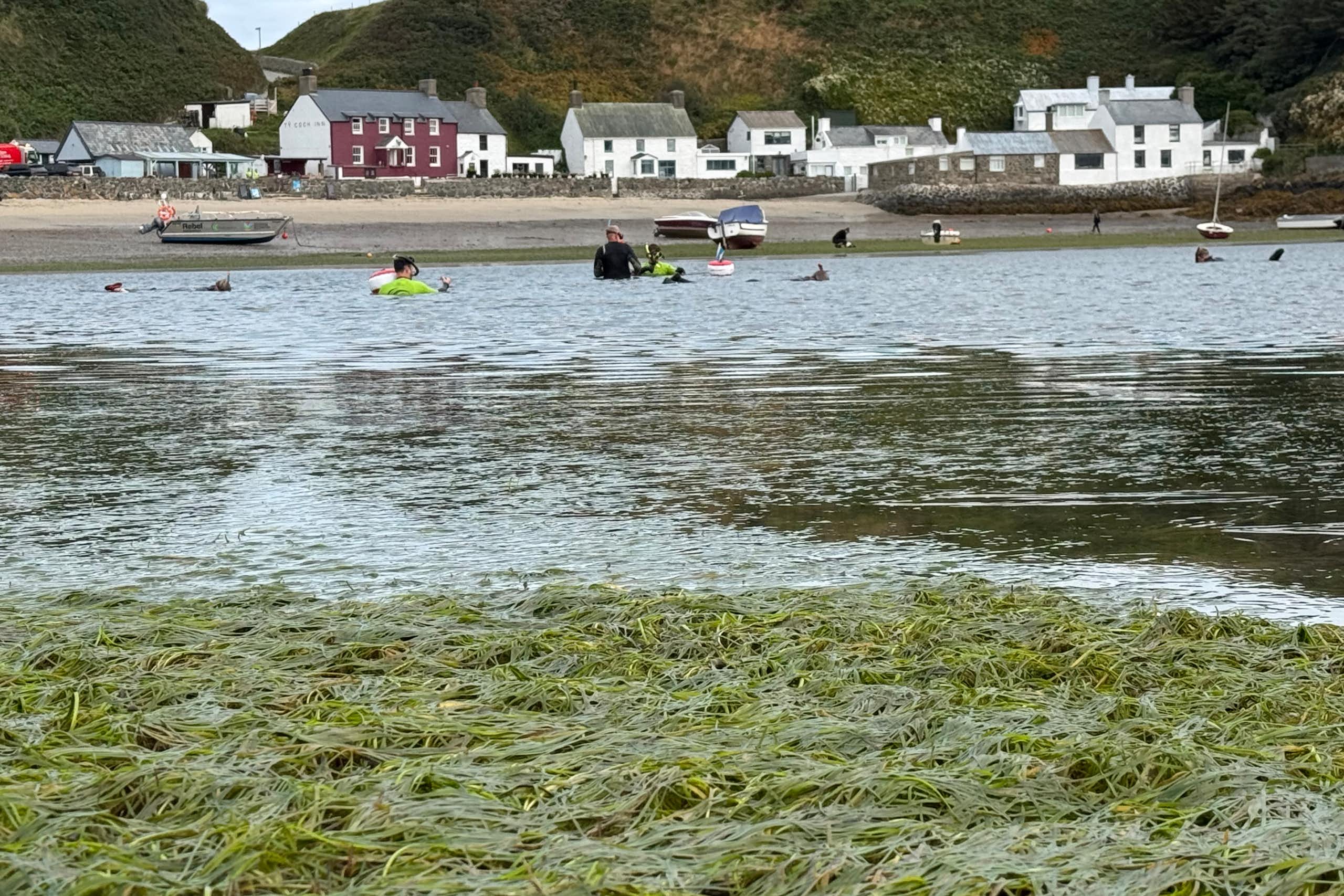 foreshore with seagrass, people on canoes in water, houses on shore in background