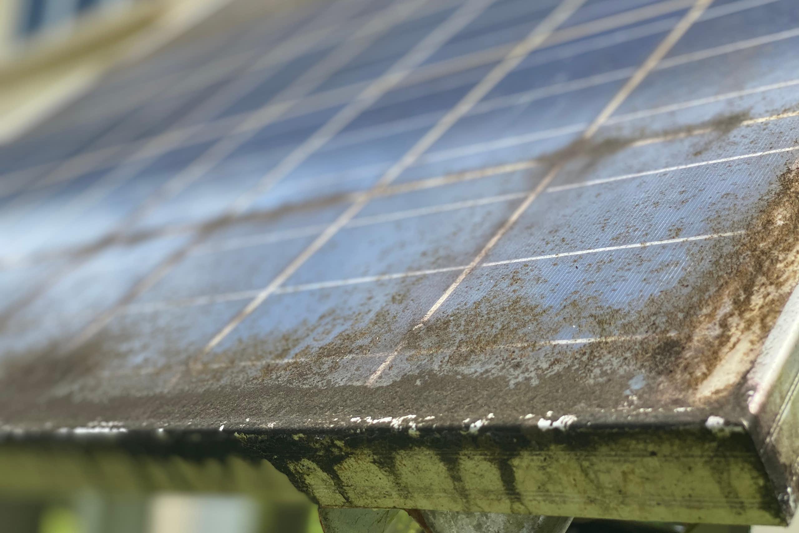 old solar panel covered in moss