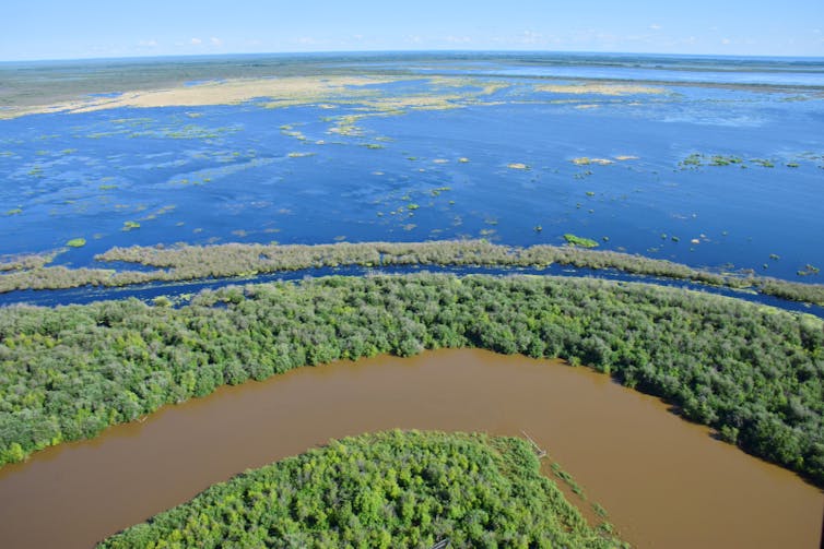 Vista aérea de un río y un lago en el Delta.