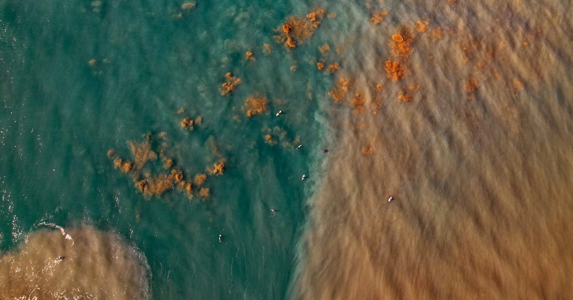 New study sheds light on the threat of ‘marine darkwaves’ to ocean life