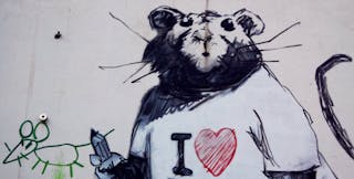 What Was Sweating Sickness The Mysterious Tudor Plague Of Wolf Hall What Was Sweating Sickness The Mysterious Tudor Plague Of Wolf Hall