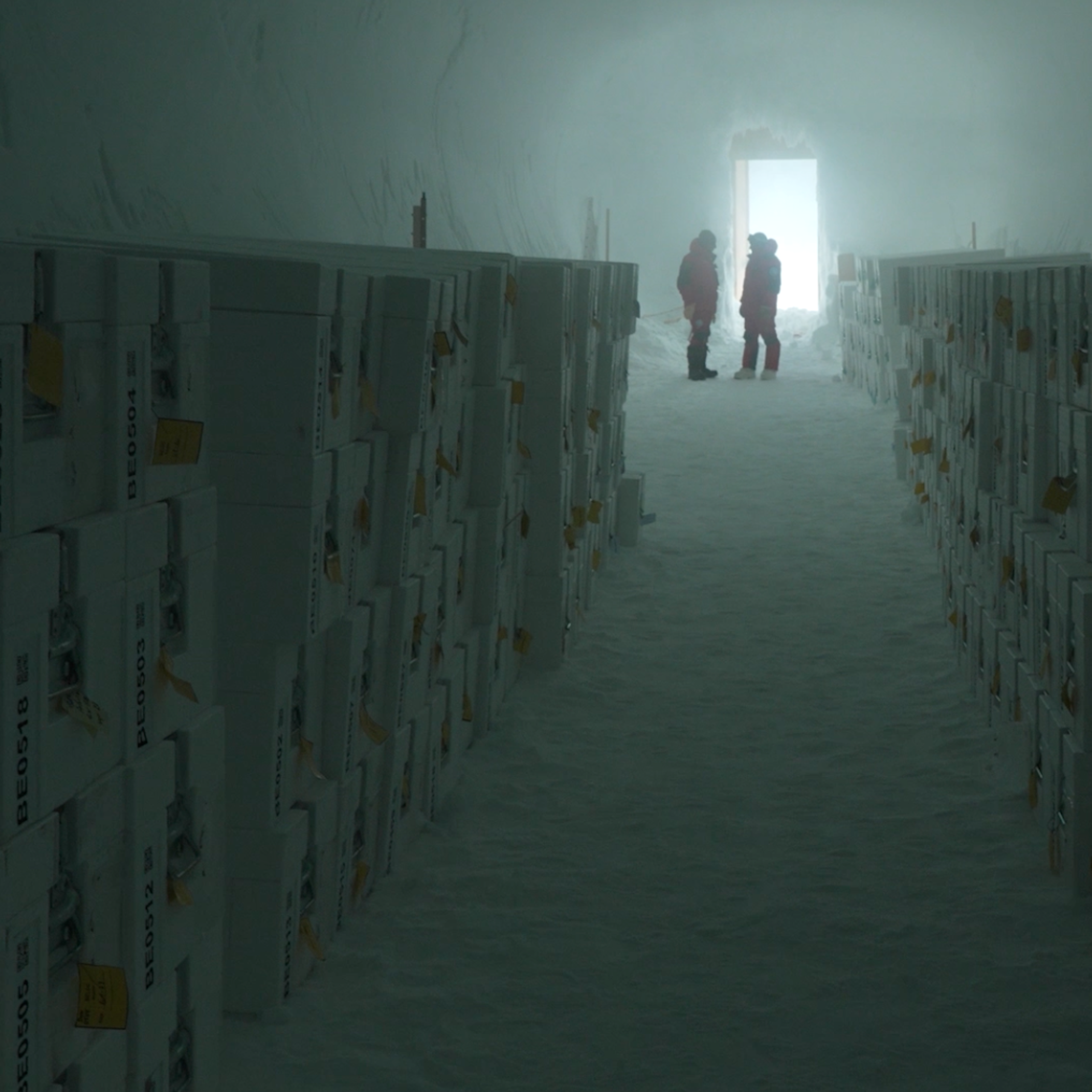 Stockage de carottes de glace dans le Sanctuaire Ice Memory à Concordia, en Antarctique.