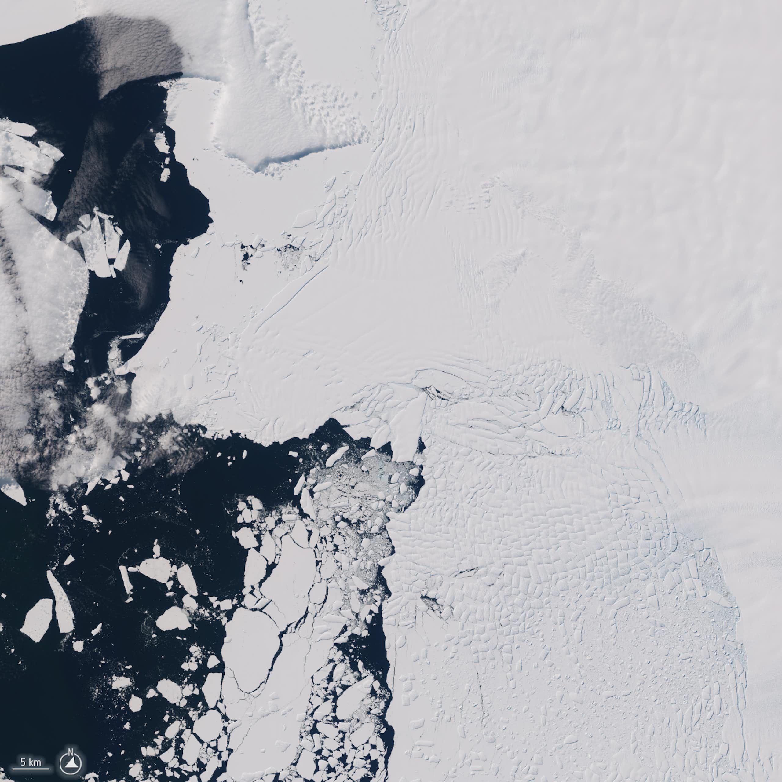 Photo satellite de la zone où le glacier Thwaites rencontre l'océan.