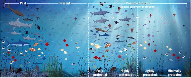 Are our cognitive biases actually in charge? How this perception creates ecological state of being inactive 1 file 20260113 62 n439zt.jpg?ixlib=rb 4.1