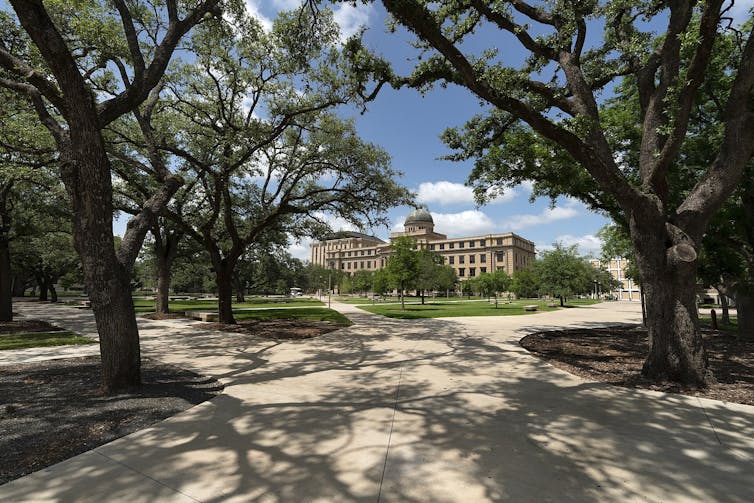 A college campus is seen with broad sidewalks and tall, green trees.