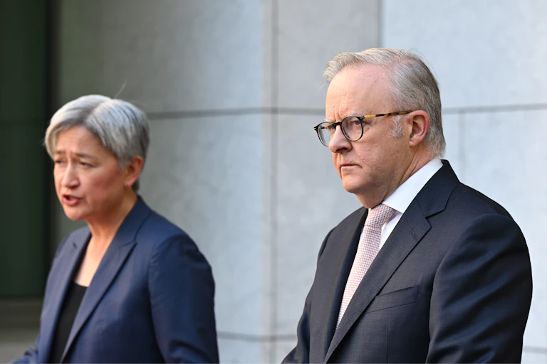 Anthony Albanese, right, frowns as he stands next to Penny Wong