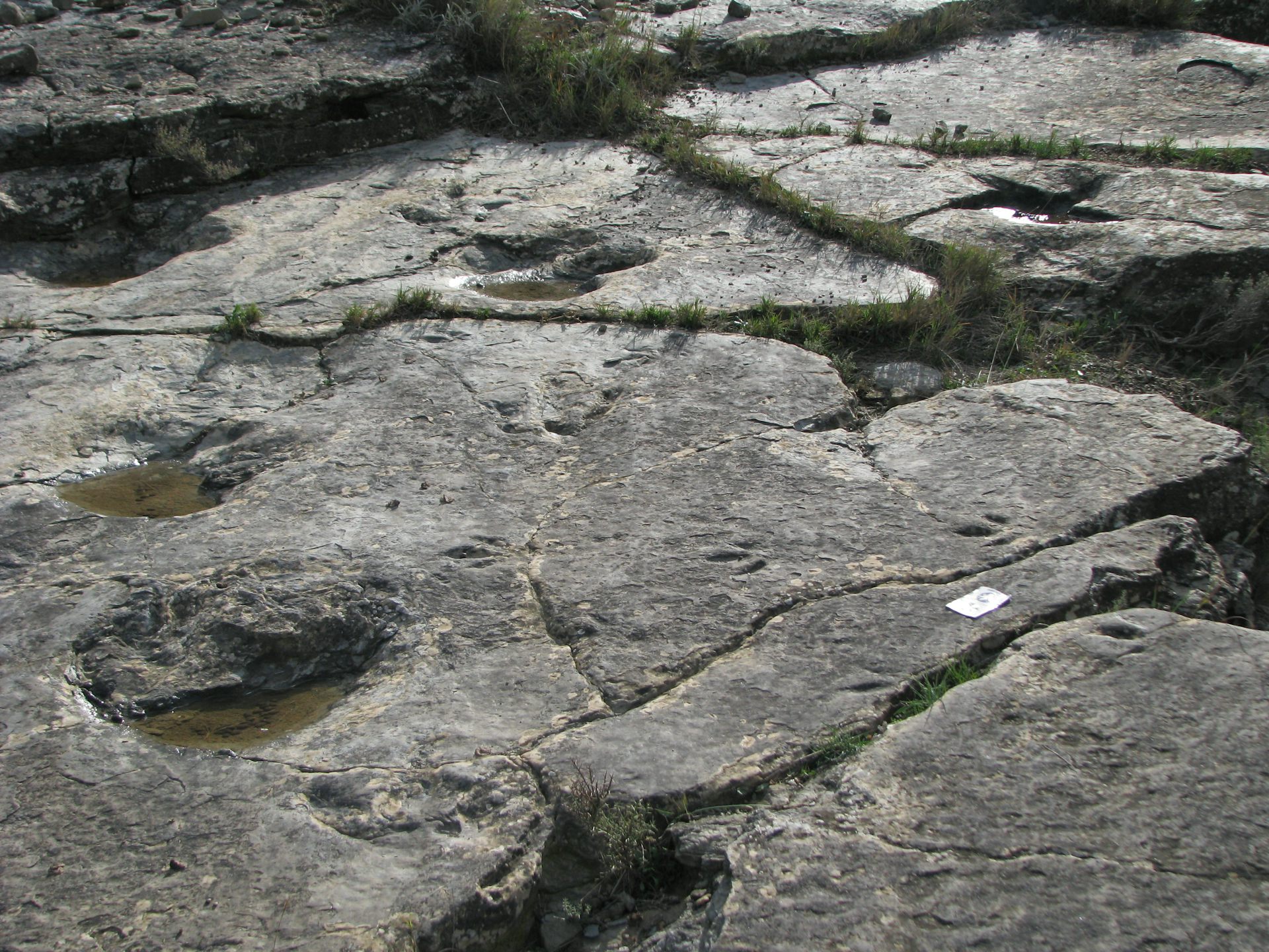 file 20260115 56 6tr2s5.JPG?ixlib=rb 4.1