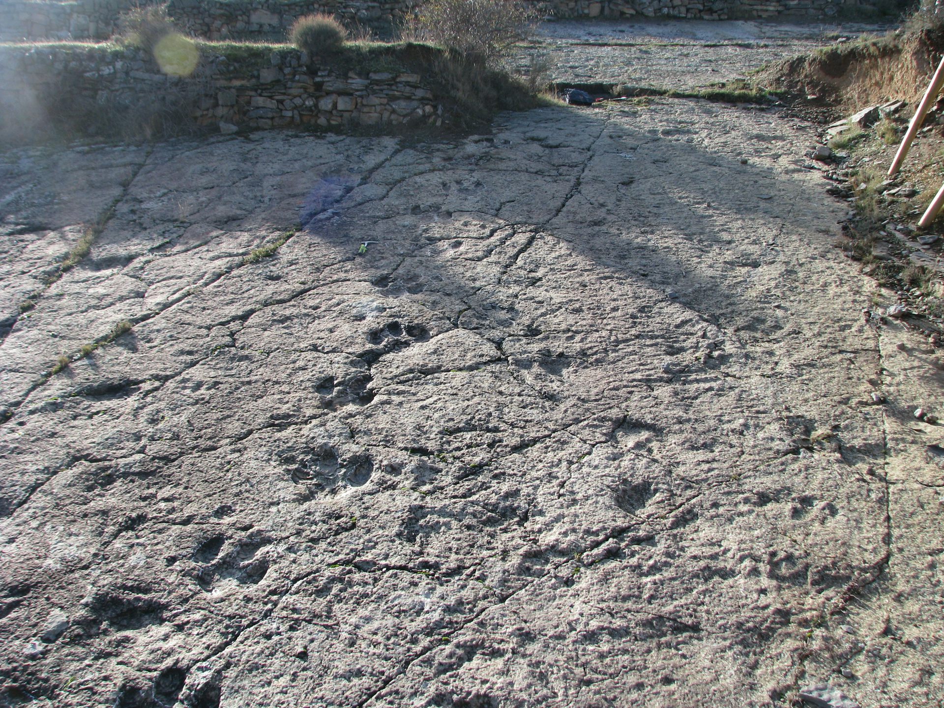 file 20260115 66 7jdovt.JPG?ixlib=rb 4.1