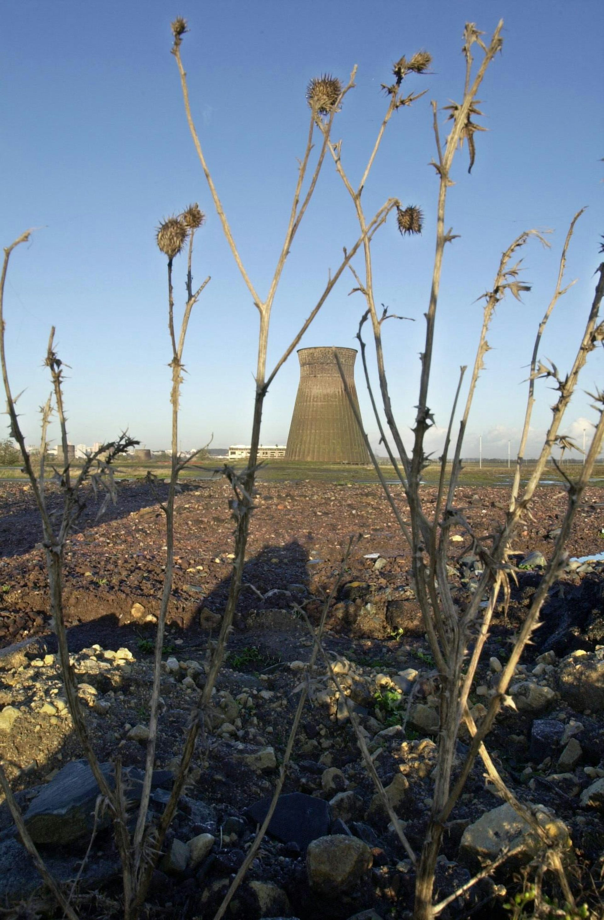 file 20260116 64 nn8dwz.jpg?ixlib=rb 4.1