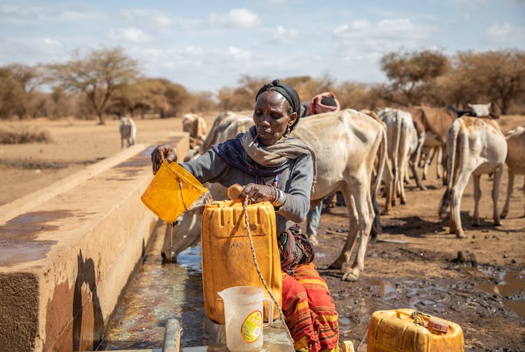 Una mujer llena recipientes con agua de un pozo. Detrás de ella, en un paisaje árido, se ven vacas.