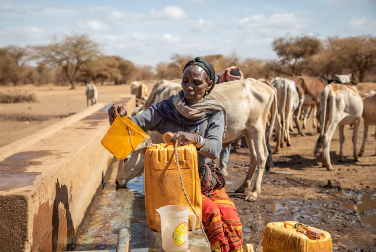 Une femme remplit des récipients avec l’eau d’un puits. Derrière elle, des vaches paissent dans un paysage aride
