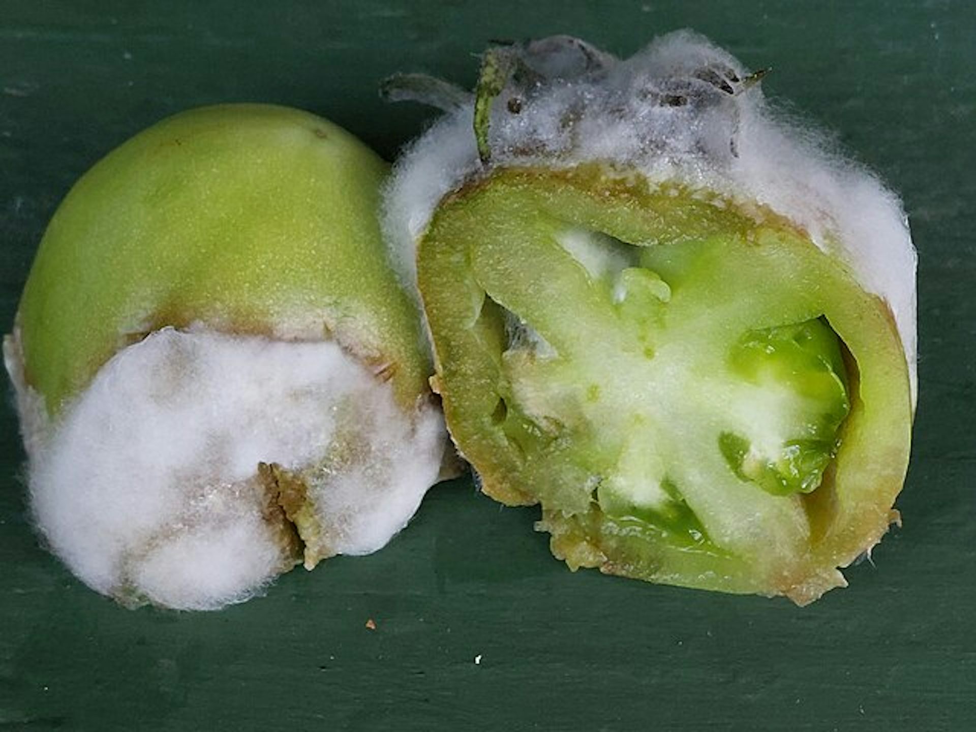 file 20260118 56 wlctas.jpg?ixlib=rb 4.1