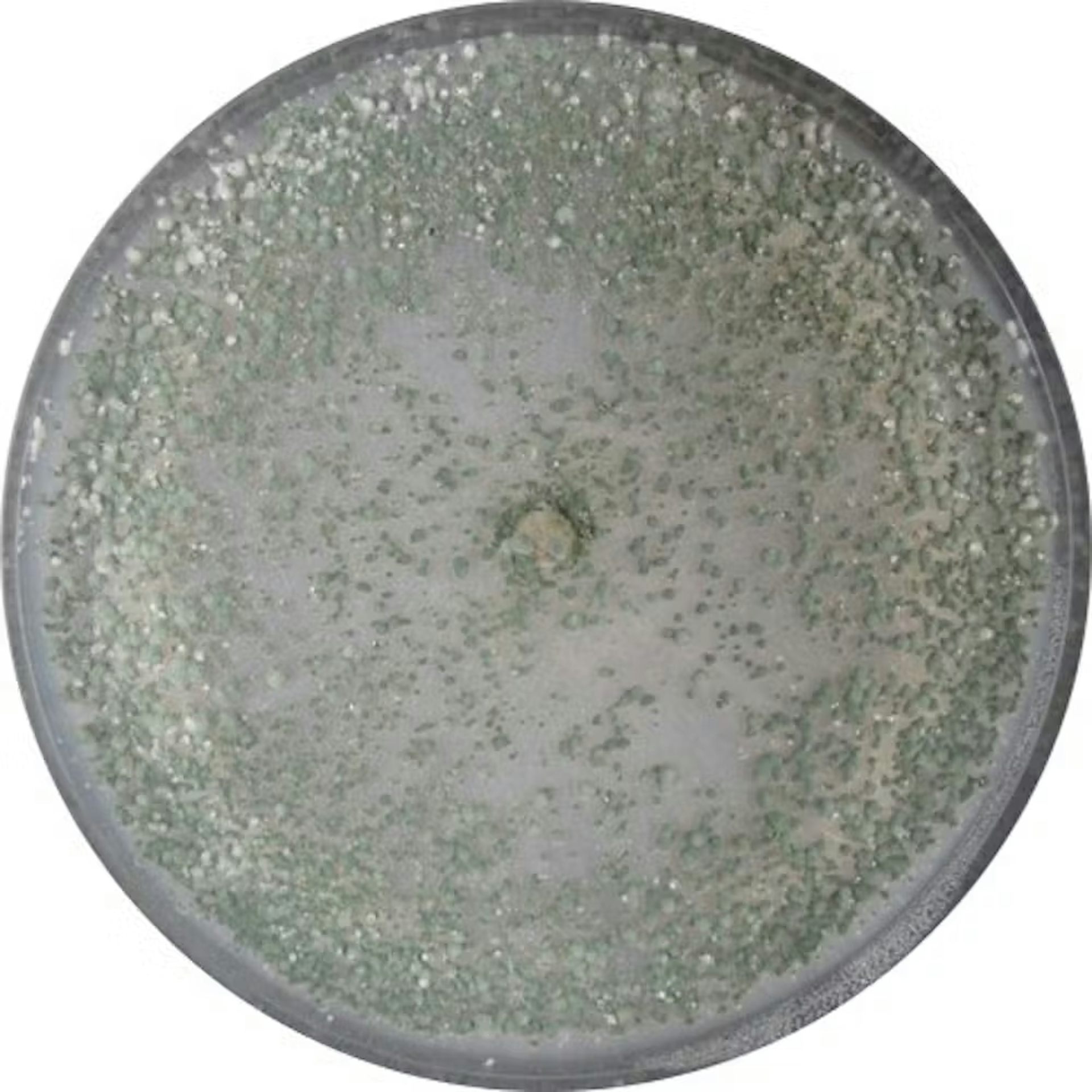 file 20260118 56 o2e4lf.jpg?ixlib=rb 4.1