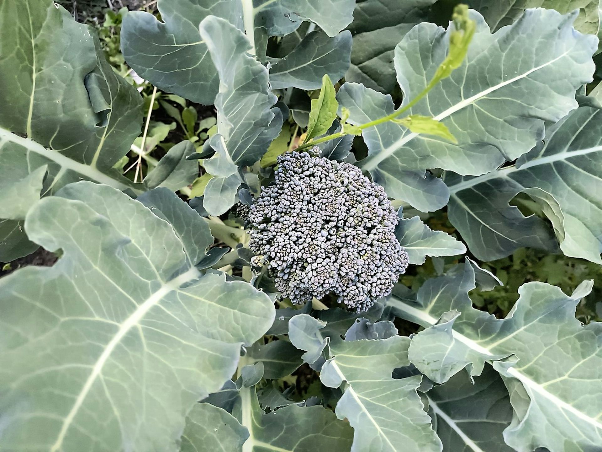 file 20260118 56 4cz2zy.jpg?ixlib=rb 4.1