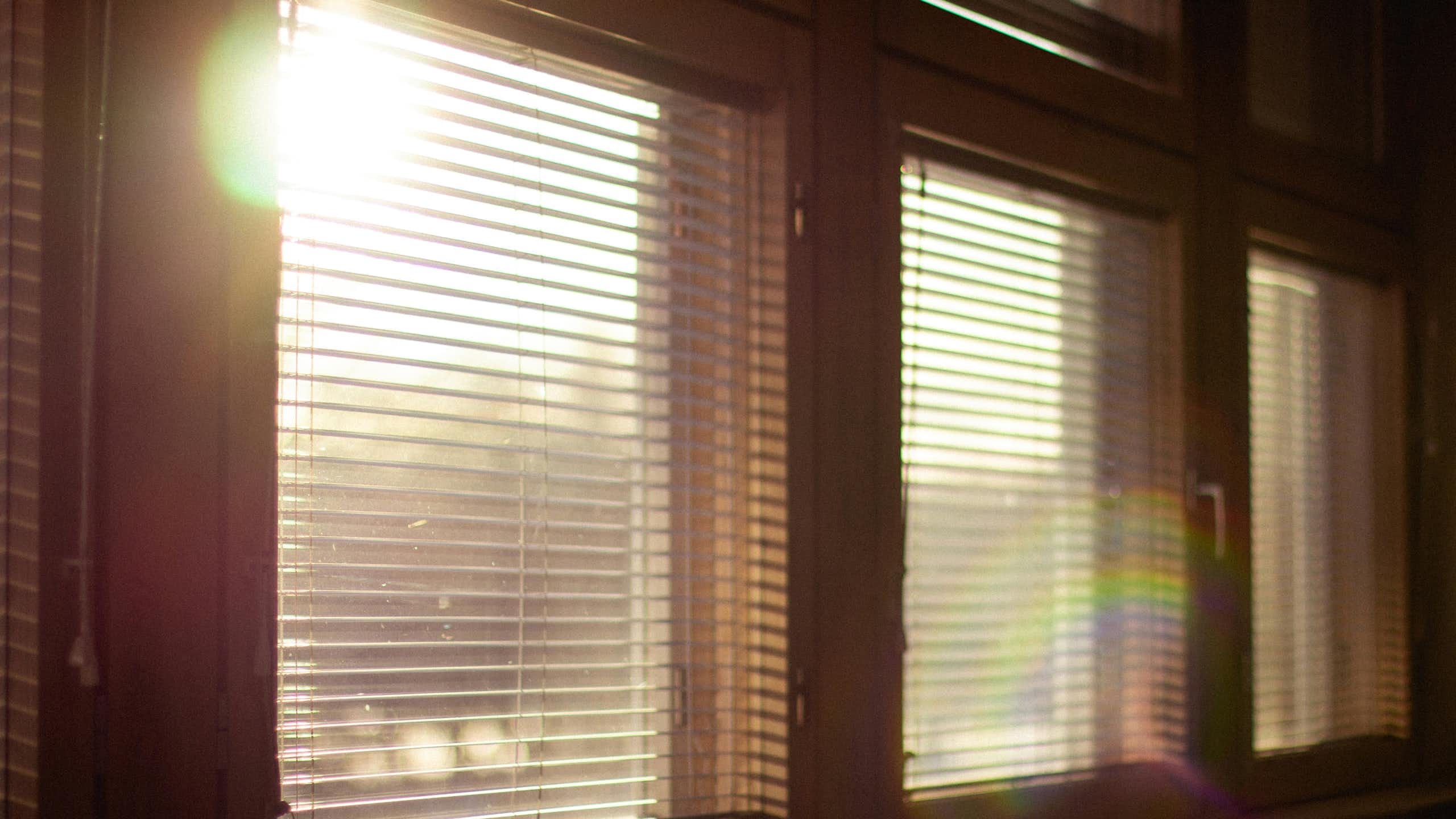 Sun shining through blinds.