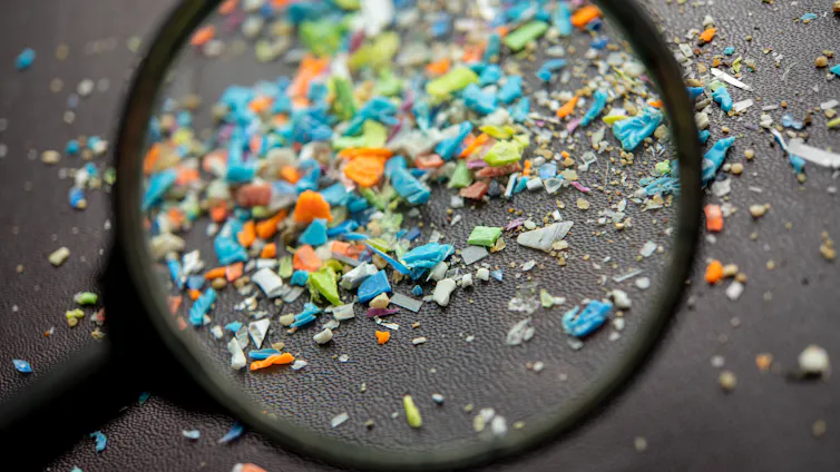 Small bits of plastic viewed under a magnifying glass.