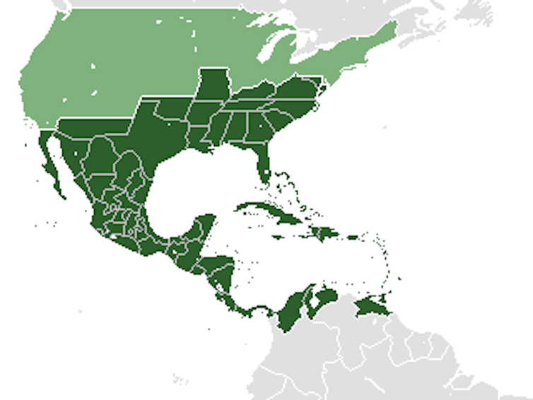 Map of the 'Golden CIrcle' countries in the US, Central America and Caribbean.