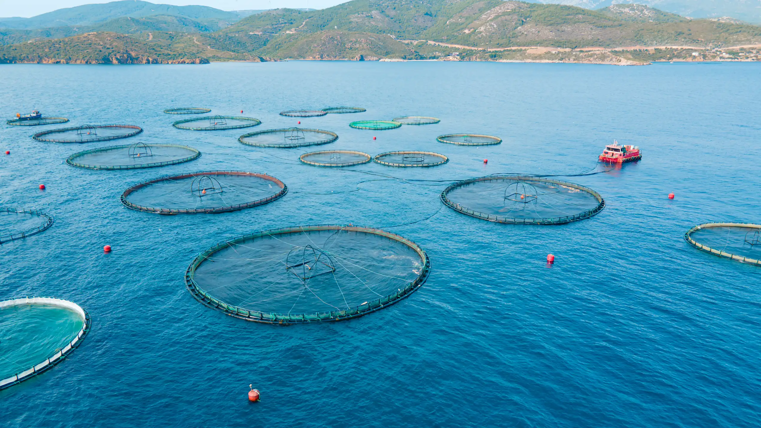 Piscifactoria sobre la mar amb muntanyes de fons
