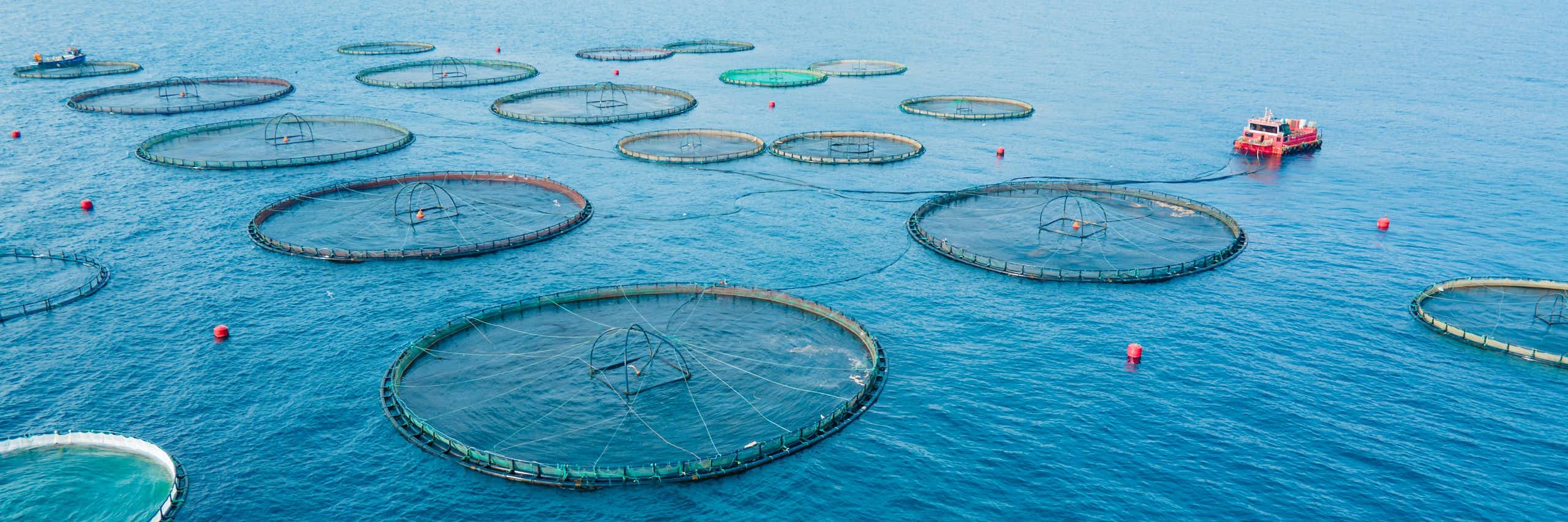 Piscifactoria sobre la mar amb muntanyes de fons