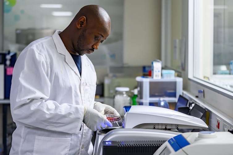 Laboratory technician tests samples in the laboratory.