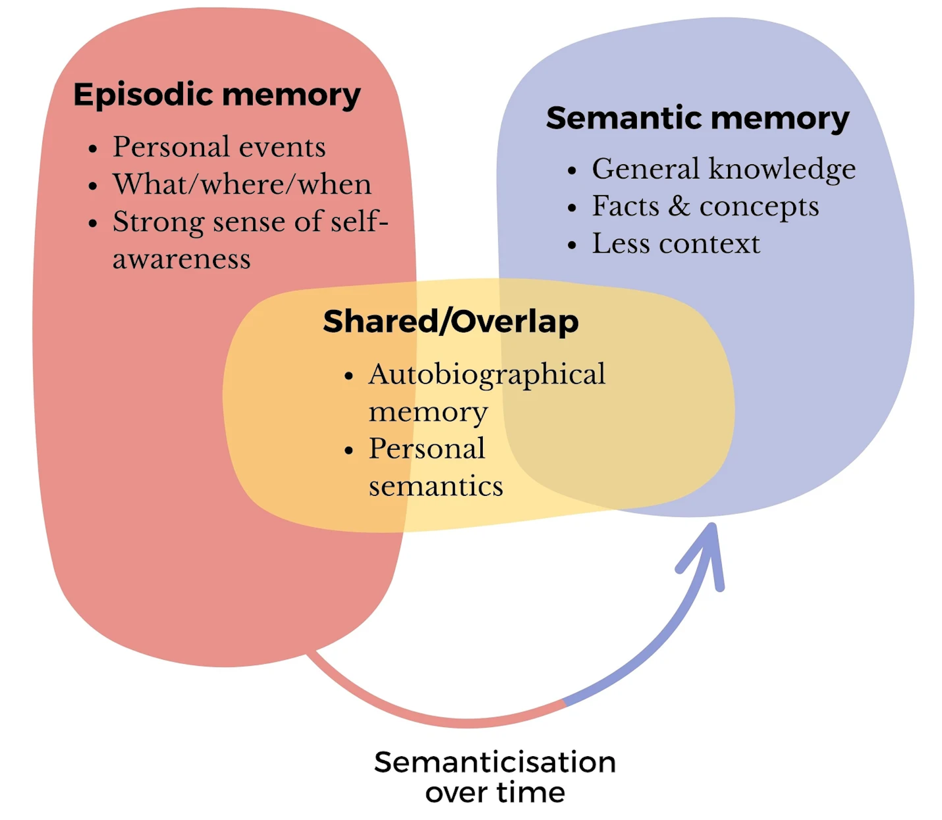 Your sense of self is deeply tied to your memory – here’s how