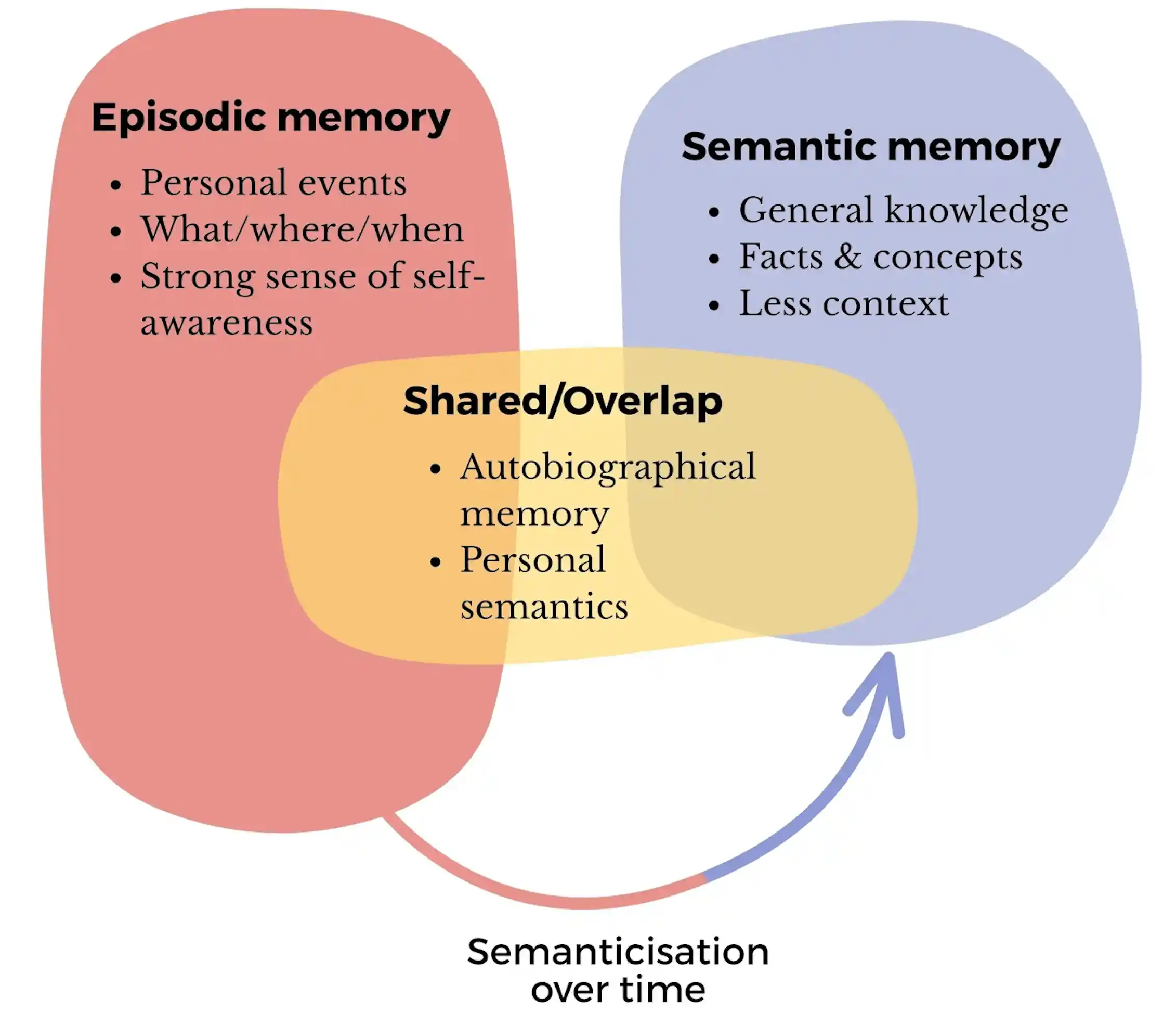 Your sense of self is deeply tied to your memory