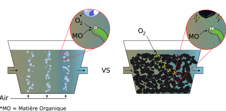 The street to extra energy-efficient water remedy crops due to… electrical micro organism 1 diagrams to compare the two modes of operation